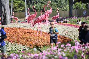 BIB: 
                            <button type="button" onclick="openModal(27793344)" class="btn btn-primary btn-sm float-right btn-popup" data-toggle="modal" data-target=".modal-high-quality">
                        <i class="fas fa-shopping-cart"></i> Add to Cart
                    </button>
                                            <button type="button" onclick="isThisMe(27793344, true)" class="btn btn-success btn-sm float-right btn-popup btn-isme hidden" data-toggle="tooltip" data-placement="bottom" title="นี่คือรูปของคุณใช่ไหม คลิกที่นี่เพื่อเอาเข้าอัลบั้ม">
                        <i class="fas fa-plus"></i> Add to album
                    </button>
                    <button type="button" onclick="isThisMe(27793344, false)" class="btn btn-warning btn-sm float-right btn-popup btn-isnotme hidden">
                        <i class="fas fa-ban"></i> Remove from album
                    </button>